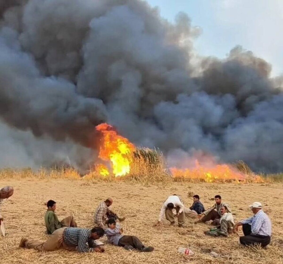 مهار آتش‌سوزی در تالاب گروس مهاباد