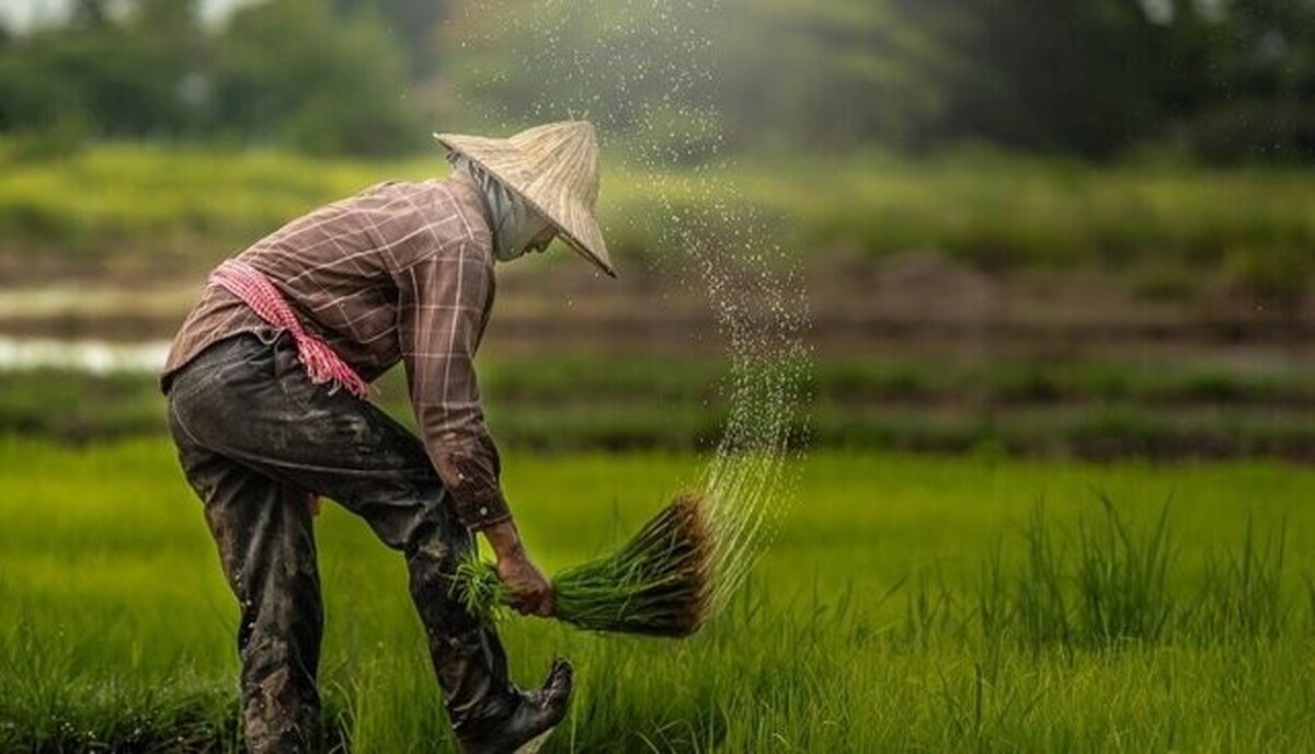 خبر خوش برای کشاورزان خبر خوش برای کشاورزان