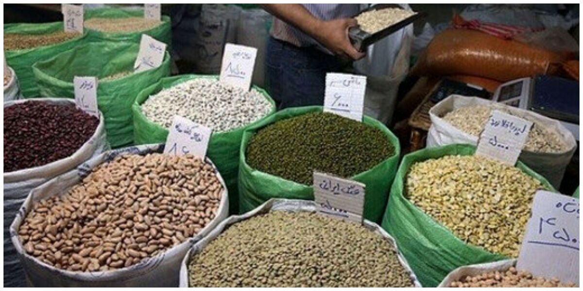 حبوبات ارزان شد/ کاهش ۳۳ درصدی قیمت لوبیا حبوبات ارزان شد/ کاهش ۳۳ درصدی قیمت لوبیا