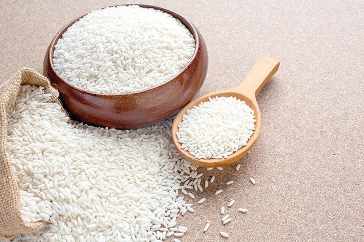 قیمت برنج ایرانی امروز ۱۰ شهریور ۱۴۰۴ / برنج درجه یک شمال کیلویی چند؟ + جدول قیمت برنج ایرانی امروز ۱۰ شهریور ۱۴۰۴ / برنج درجه یک شمال کیلویی چند؟ + جدول