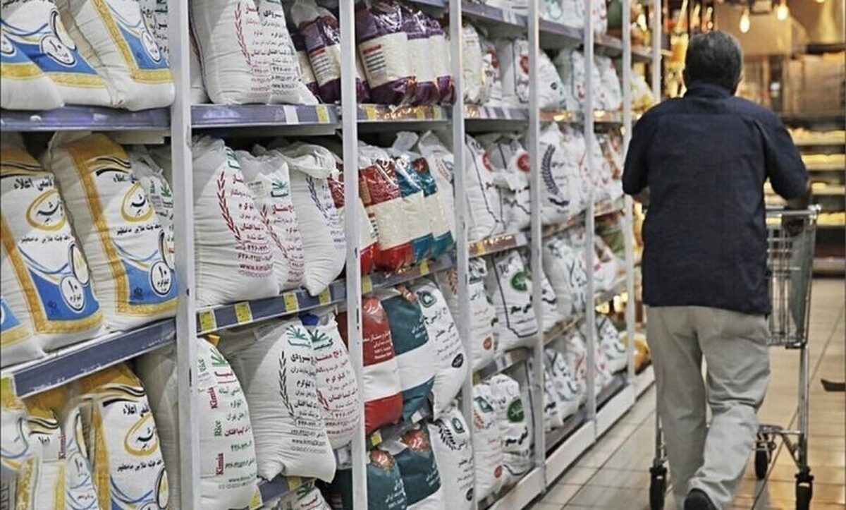 راهکار جدید دولت برای افزایش قیمت برنج / برنج ارزان میشود؟ راهکار جدید دولت برای افزایش قیمت برنج / برنج ارزان میشود؟