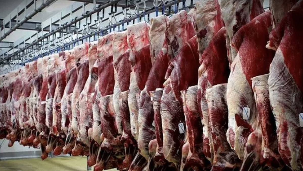 یارانه گوشت قرمز حذف شد/ گوشت کنیایی با قیمت نجومی در بازار یارانه گوشت قرمز حذف شد/ گوشت کنیایی با قیمت نجومی در بازار