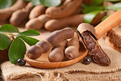 فواید بی‌نظیر و شگفت‌انگیز تمر هندی که باید بدانید