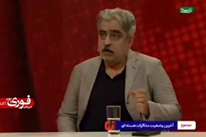 کارشناس صداوسیما: سگ‌گردانی و بی‌حجابی پروژه استحاله علیه امنیت ملی است