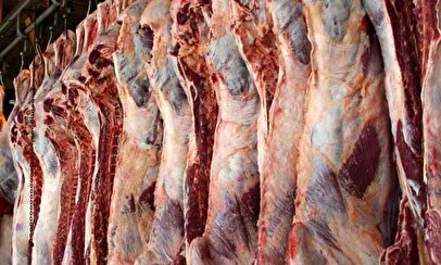 آغاز توزیع گوشت قرمز دولتی از این تاریخ / گوشت گرم قرمز ۶۰۰ هزارتومانی در راه است