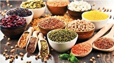 لیست قیمت حبوبات ۲۲ شهریور ۱۴۰۴ / لوبیا چیتی کیلویی ۶۶۴ هزارتومان شد! + جدول