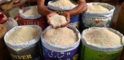 روش تشخیص برنج ایرانی اصل از تقلبی