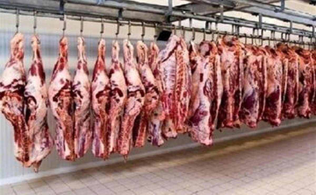 واردات بی‌سابقه گوشت قرمز/ کاهش قیمت گوشت در راه است؟