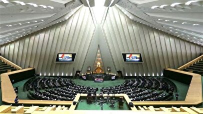 نماینده مجلس: با افزایش قیمت لوبیا چیتی خانواده‌ام گرانی را حس کردند!