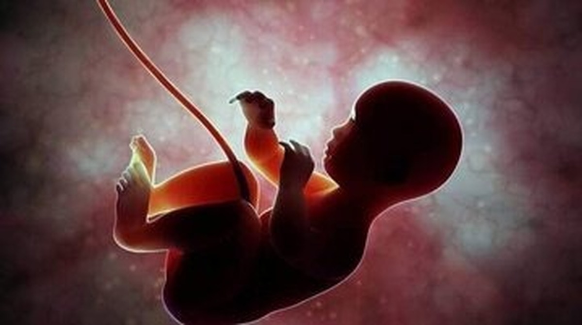 بیانیه مهم وزارت بهداشت در مورد سقط جنین بیانیه مهم وزارت بهداشت در مورد سقط جنین