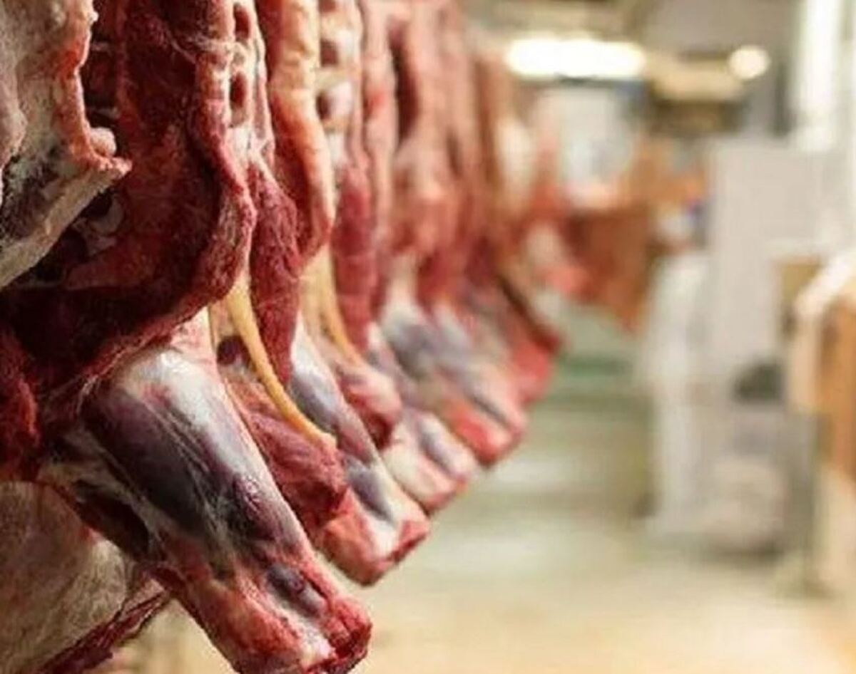 آغاز طرح جدید عرضه مستقیم گوشت قرمز