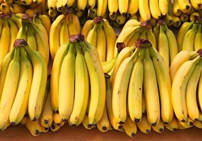 طرح جهاد کشاورزی برای پسته و موز