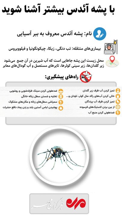 اینفوگرافیک / با پشه آئدس بیشتر آشنا شویم