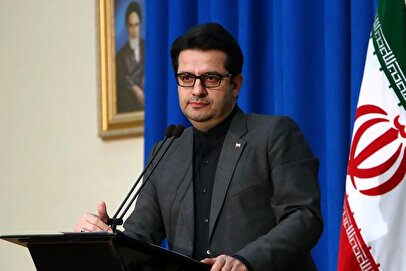 واکنش دولت به حاشیه‌سازی‌ها برای عکس جنجالی پزشکیان و اردوغان