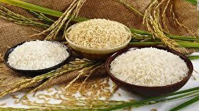 قیمت برنج پاکستانی ۲۷ شهریور ۱۴۰۴ / کیسه ۱۰ کیلویی برنج پاکستانی انواع برندها چند؟ + جدول