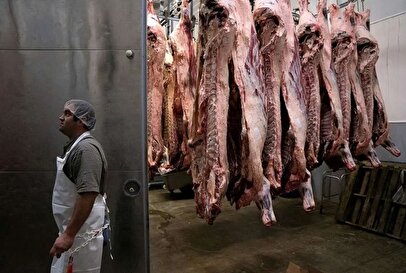 پیشنهاد دامداران برای کنترل بازار گوشت و لبنیات