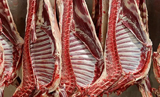 دامداران علیه قیمت‌گذاری دستوری/ مافیای ارز ترجیحی، مانع واردات نهاده توسط دامداران