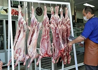 گوشت ارزان می‌شود؟ / افزایش ۲۸ درصدی عرضه گوشت قرمز داخلی