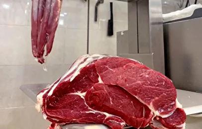 جهش بزرگ عرضه گوشت قرمز در بازار