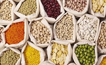 تأمین بازار حبوبات در نیمه دوم سال در خطر است