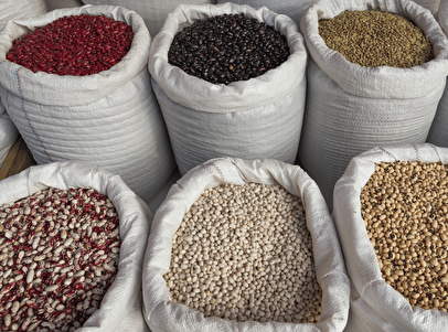 انجمن حبوبات: تأخیر بانک مرکزی، کالا‌ها را در گمرک معطل گذاشته است