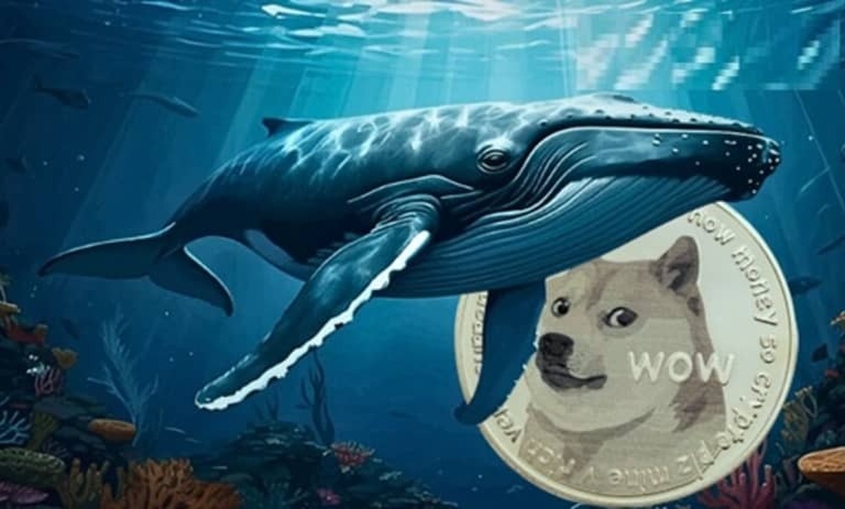 خرید بی‌سایقه دوج کوین توسط نهنگ‌ها / ماجرا چیست؟