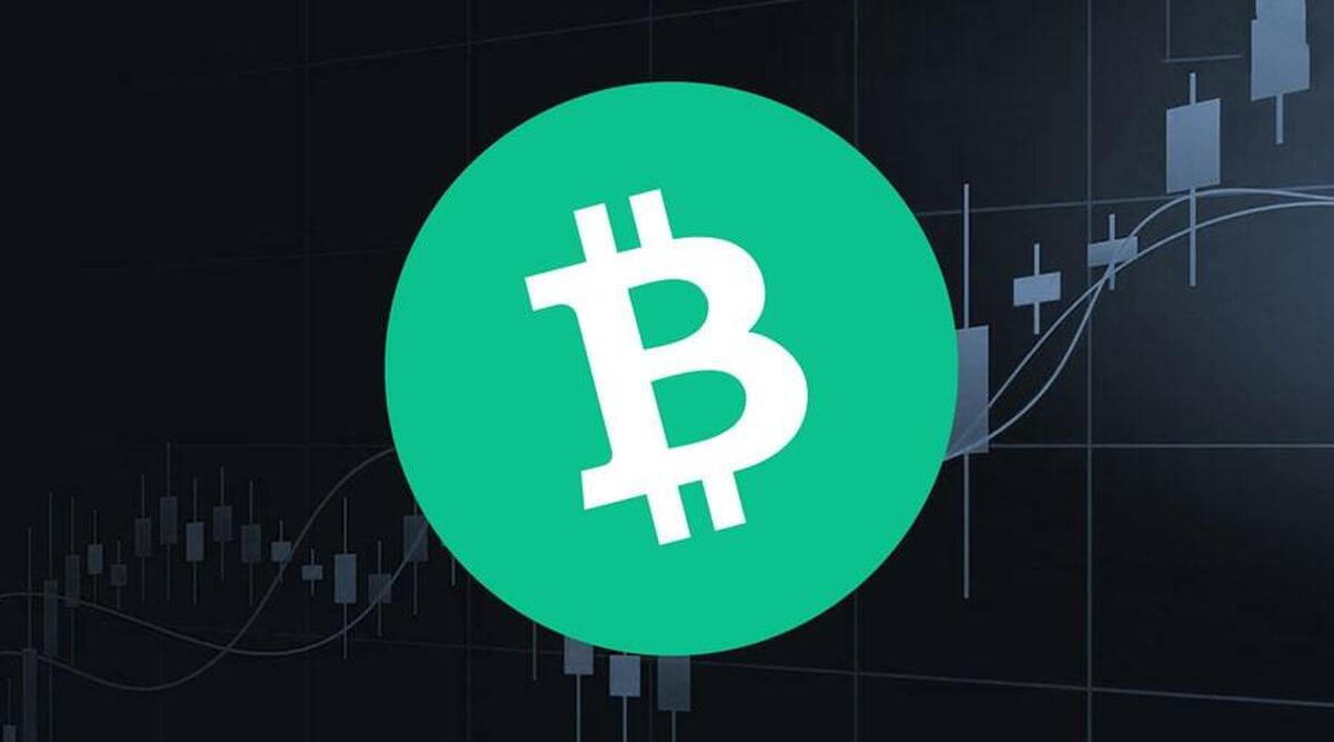 صعود دوباره بیتکوین کش/ زمان خرید BCH فرا رسیده؟+ نمودار صعود دوباره بیتکوین کش/ زمان خرید BCH فرا رسیده؟+ نمودار