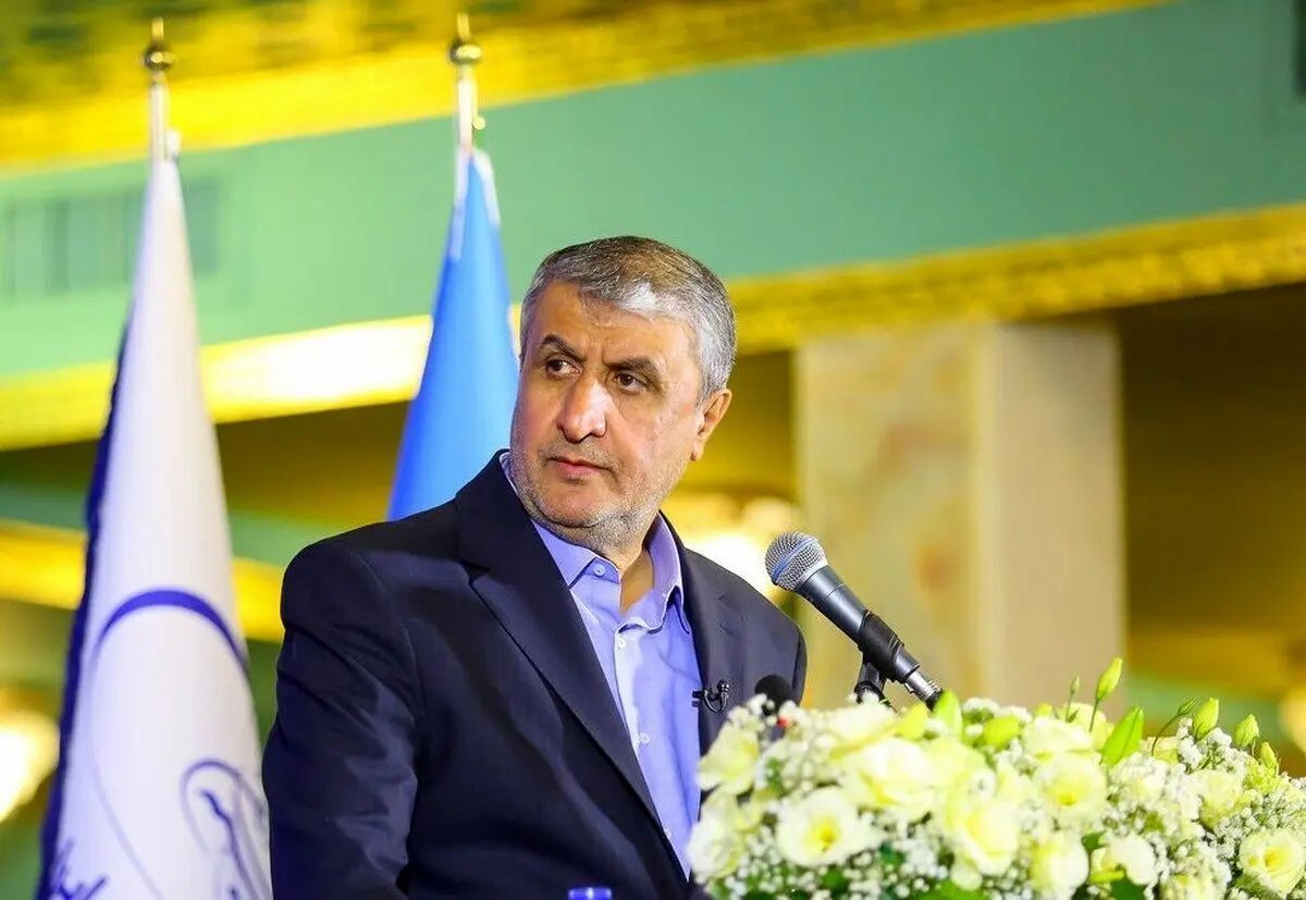 توضیح رئیس سازمان انرژی اتمی درمورد ماموریت بازرسان آژانس در ایران
