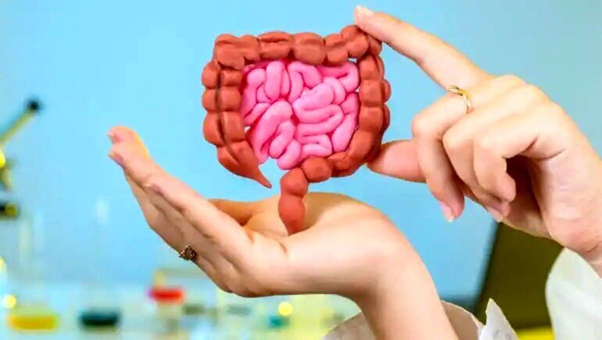 این خوراکی‌ها را هرگز نباید با معده خالی بخورید