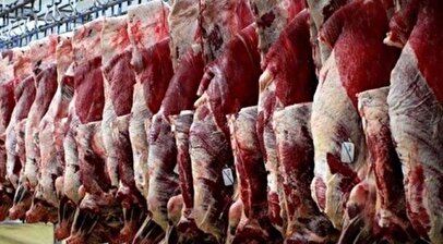 واکنش یک مسئول به خبر ورود گوشت آلوده به بازار