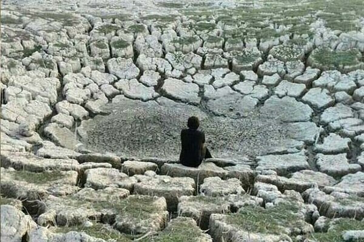 «سراب نیلوفر» خشک شد