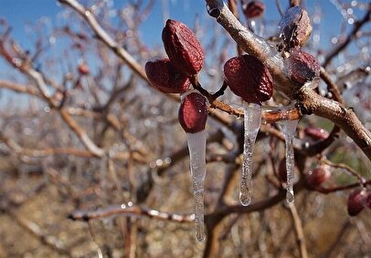 هواشناسی ایران امروز یکشنبه ۱۳ مهرماه ۱۴۰۴/هشدار کاهش ۱۰ درجهای دما و سرمازدگی