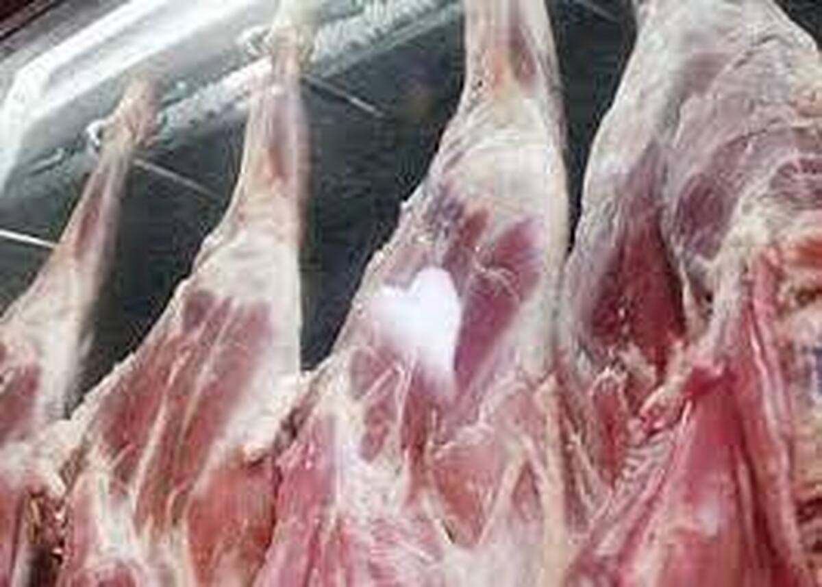 ۱۰۰ هزار کیلوگرم گوشت صادراتی ایران برگشت داده شد / ماجرا چیست؟