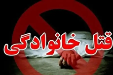 قاتل کارمند دانشگاه تهران دستگیر شد/ جزئیات قتل+ فیلم