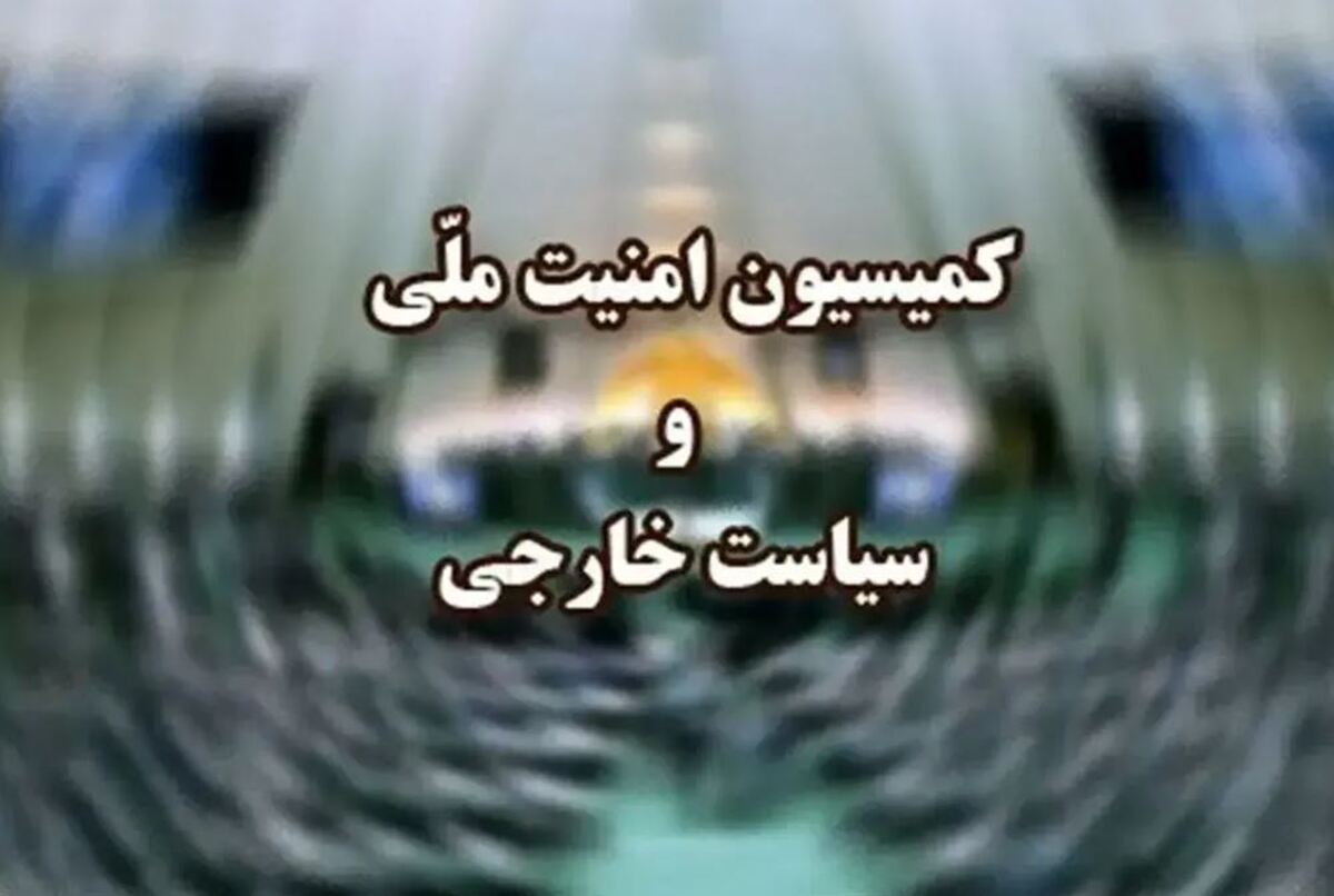 طرح مقابله با نفوذیها در کمیسیون امنیت ملی تصویب شد طرح مقابله با نفوذیها در کمیسیون امنیت ملی تصویب شد