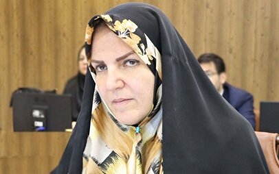 مشاور رئیس جمهور توضیح داد/پشت پرده پذیرش «CFT» و پیوستن به «FATF»