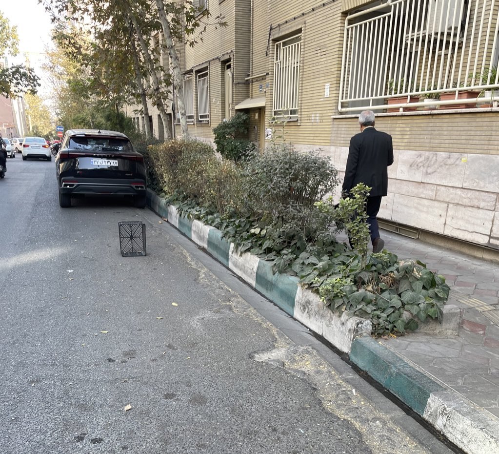 یک شغل عجیب در تهران کشف شد
