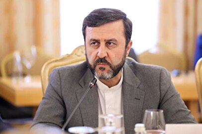 غریبآبادی: در عرض یک هفته، پاسخ درخواستهای آژانس را میدادیم؛ اما الان «نه»