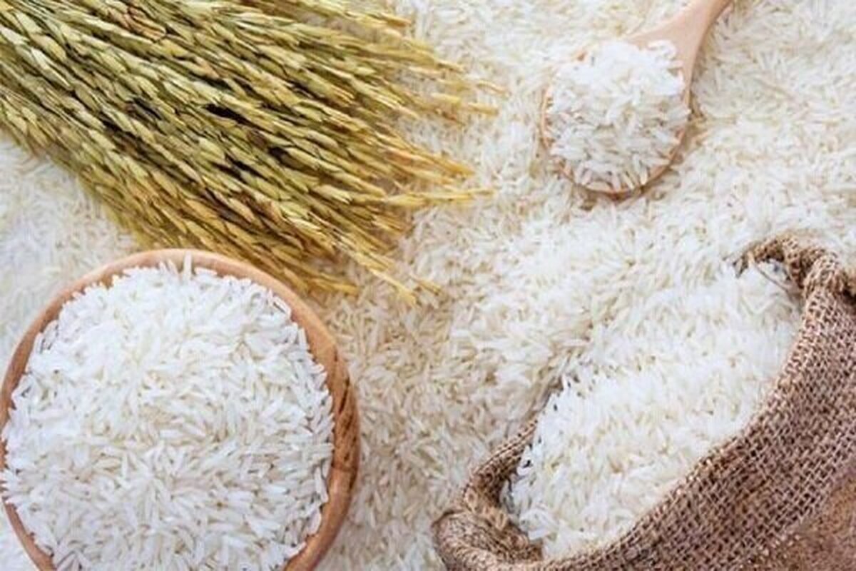 لیست قیمت انواع برنج هندی مهر ماه ۱۴۰۴ / برنج هندی درجه یک کیلویی چند شد؟ + جدول
