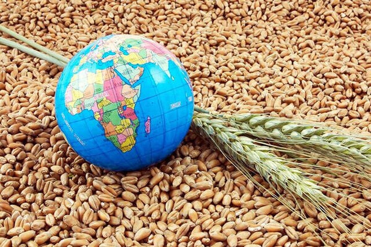 زنگ خطر در تامین امنیت غذایی کشور به صدا درآمد