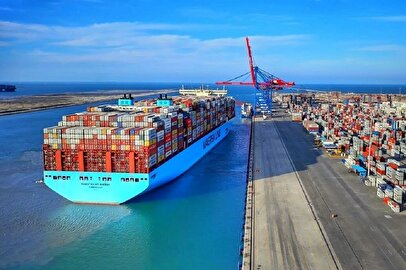 صادرات این میوه مجاز شد