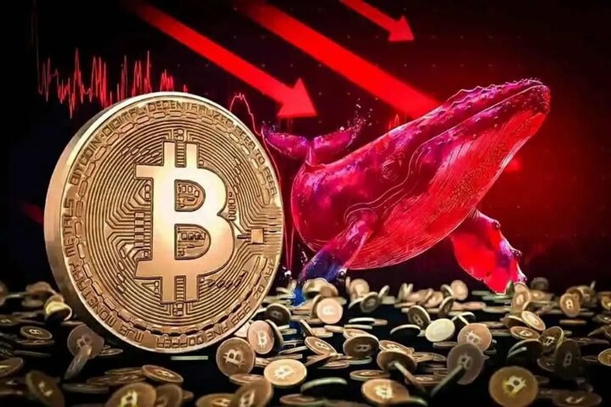 آخرین قیمت رمزارز‌ها در جهان دوشنبه ۷ مهر ۱۴۰۴
