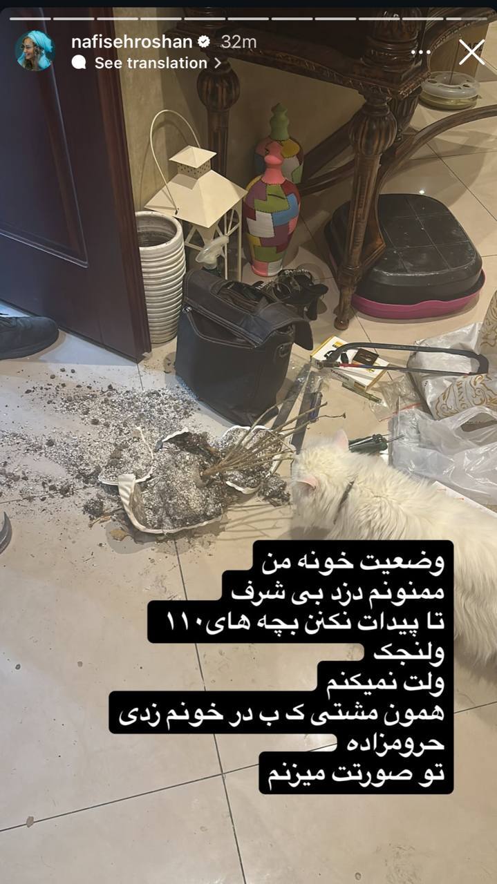 خانه خانم بازیگر پرحاشیه را دزد زد + عکس