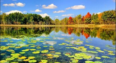 ۹ تالاب معروف ایران حتی یک قطره آب ندارند