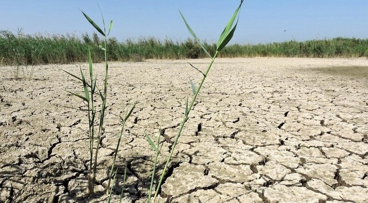 ۹ تالاب معروف ایران حتی یک قطره آب ندارند