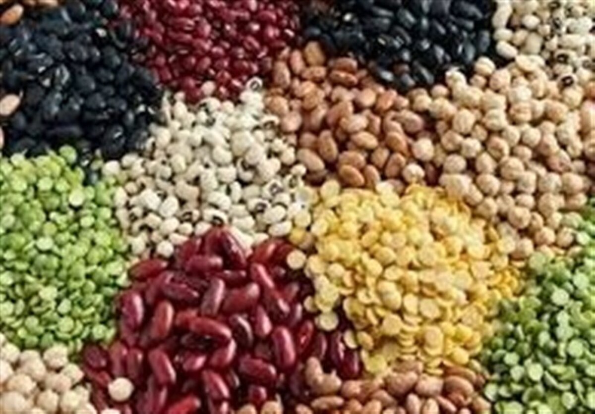 فنر تورم حبوبات پرید/ دو متهم گرانی حبوبات شناسایی شدند
