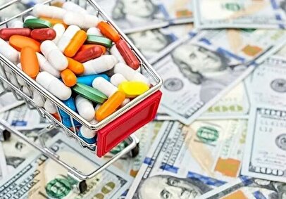 ۱.۴۴ میلیارد دلار ارز برای واردات این اقلام تأمین شد