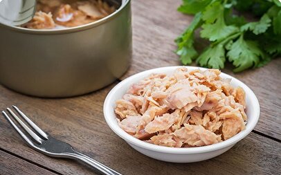 شوک بزرگ به بازار تن ماهی / گرانی غیرمنتظره تن ماهی استارت خورد