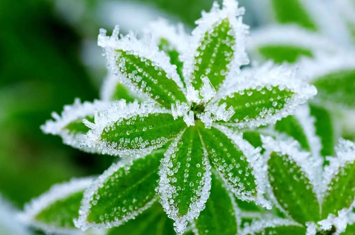 پیشبینی سرمای کمسابقه برای ۱۳ استان کشور پیشبینی سرمای کمسابقه برای ۱۳ استان کشور