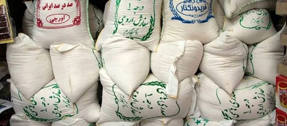 ریزش قیمت برنج در بازار امروز/ کاهش قیمت ها ادامه دارد؟ ریزش قیمت برنج در بازار امروز/ کاهش قیمت ها ادامه دارد؟